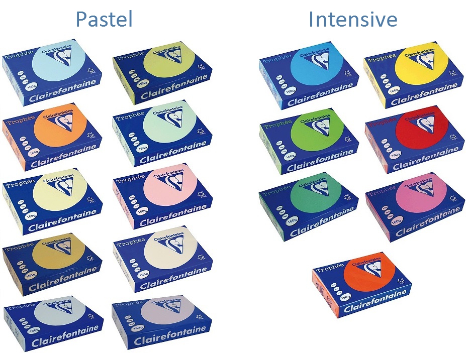 PAPIR A4 160g COLOR 1/250
